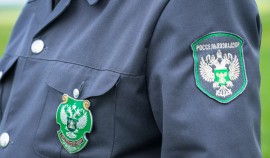 Россельхознадзор проверил сельхозугодья в Ойсхаре