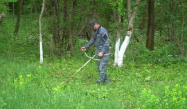 Ачхой-Мартановский район присоединился к экомарафону «Чистые берега»