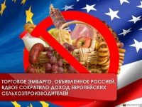 Торговое эмбарго, объявленное Россией, вдвое сократило доход европейских сельхозпроизводителей 