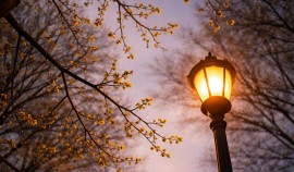 17 марта в ряде населённых пунктов Чеченской Республики временно ограничат электроснабжение