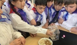 Дети и родители создали кормушки для птиц своими руками в рамках нацпроекта «Семья»
