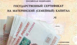 Оформить ежемесячную выплату из средств маткапитала можно будет без справки о доходах