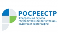 Количество утвержденных границ между регионами России на начало 2019 года составило 104