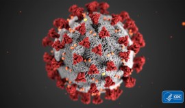 В ЧР выявлено 16 случаев заражения коронавирусом