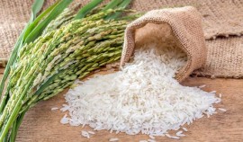 Кабмин России ввёл запрет на вывоз риса и рисовой крупы