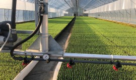 Ученые разработали новые технологии для сельского хозяйства