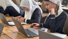 Более 1,7 млн школьников прошли олимпиаду по окружающему миру и экологии