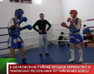 В Шелковском районе прошли первенство и чемпионат республики по тайскому боксу