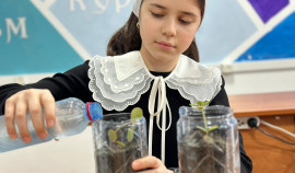 В селе Верхний-Наур прошел семинар-практикум 