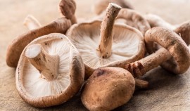 Диетолог назвал грибы, замедляющие процесс старения