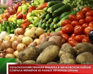 Сельскохозяйственная ярмарка в Шелковском районе собрала фермеров из разных  регионов страны