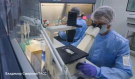 Роспотребнадзор зарегистрировал реагенты для обнаружения вируса гриппа птиц