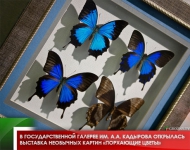 В Государственной галерее им. А.А. Кадырова открылась выставка необычных картин «Порхающие цветы»
