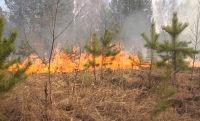МЧС России по ЧР предупреждает о высоком уровне пожароопасности