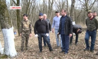 В Гудермесском и Курчалоевском районах прошли субботники