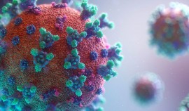 В ЧР выявлено 16 случаев заражения коронавирусом