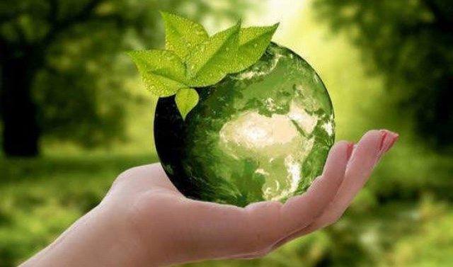 5 июня - Всемирный день окружающей среды 