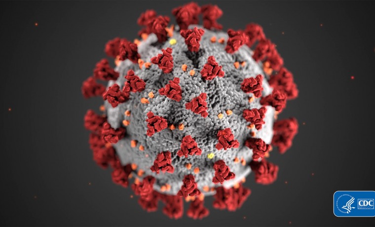 В ЧР выявлено 2 случая заражения коронавирусом