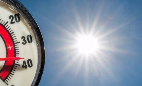 О том, как жара влияет на работу мозга, рассказал невролог