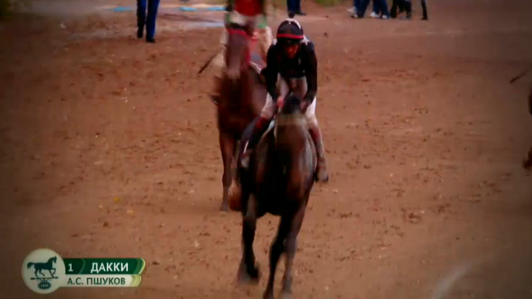 Победитель третьего заезда скачек в Гудермесе – лошадь Рамзана Кадырова по кличке Дакки