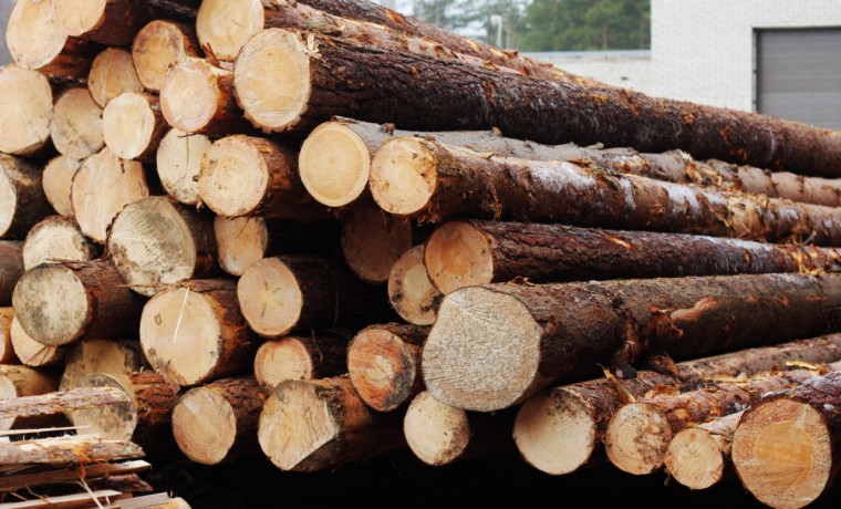 184 нарушения выявлены Россельхознадзором при ввозе лесоматериалов в ЧР