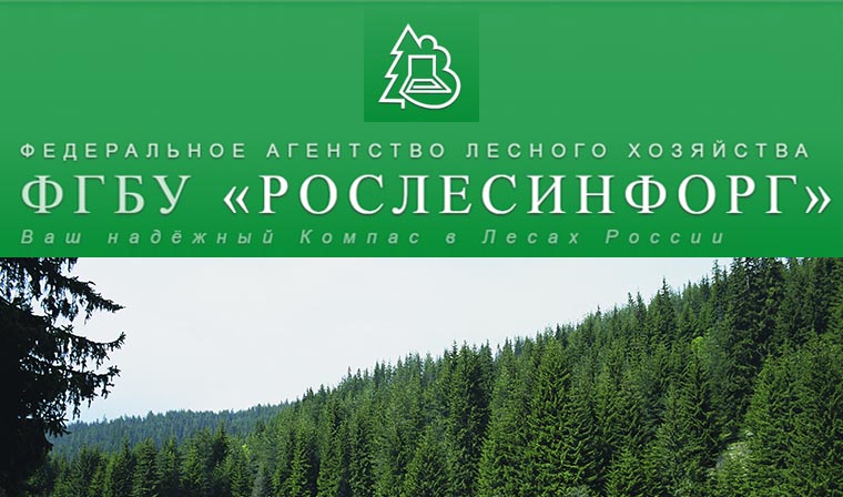 Филиал «Рослесинфорга» откроется в Грозном