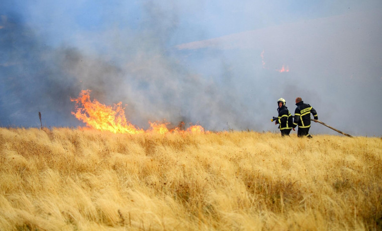 В 77 регионах России зафиксировали природные пожары, в 46 действует особый режим