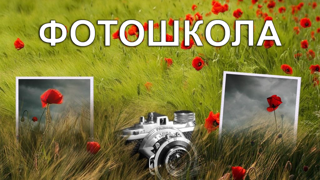 В Грозном пройдет школа начинающих фотографов