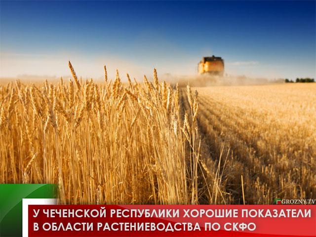 У Чеченской Республики хорошие показатели в области растениеводства по СКФО