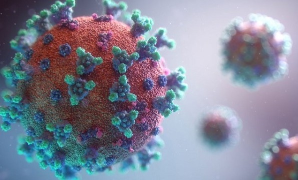 В Германии обнаружили новую мутацию коронавируса