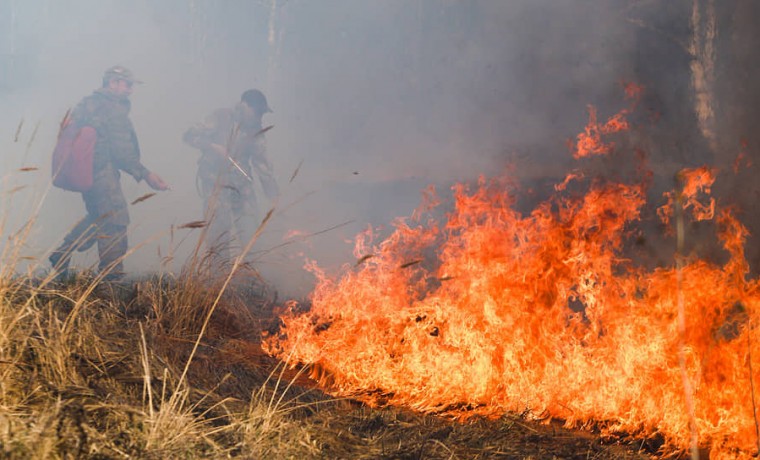 Пренебрежение правилами пожарной безопасности приводит к возникновению лесных пожаров