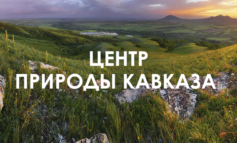 Центр природы Кавказа запустит экопроекты с регионами СКФО 