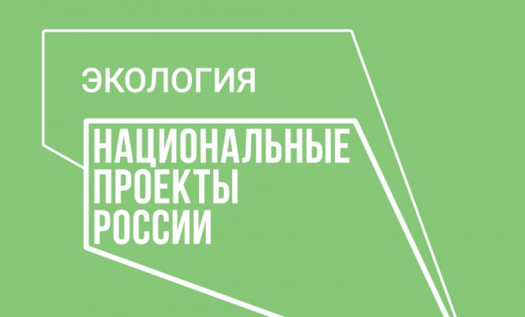 В Ачхой-Мартановском районе прошла акция «Зелёная планета»