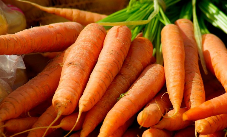Морковь в России подешевела