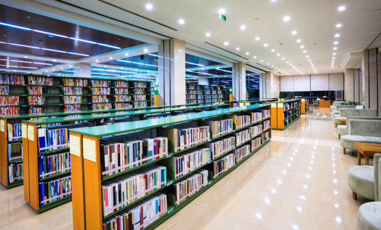 В Грозном состоялось открытие обновленной библиотеки модельного стандарта