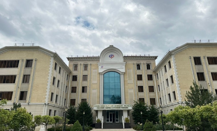 Отделение СФР по Чеченской Республике предоставило услуги более 24 тысячам мам