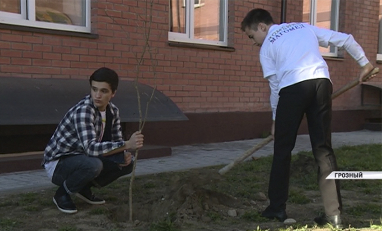 Акция «Посади дерево и сохрани его!» прошла в математической школе Грозного 