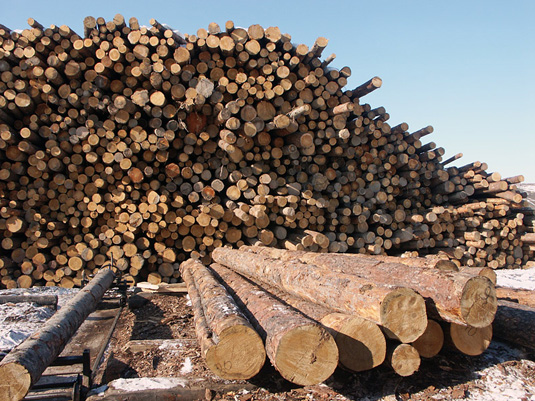 В Сунженском районе появится  деревоперерабатывающий цех