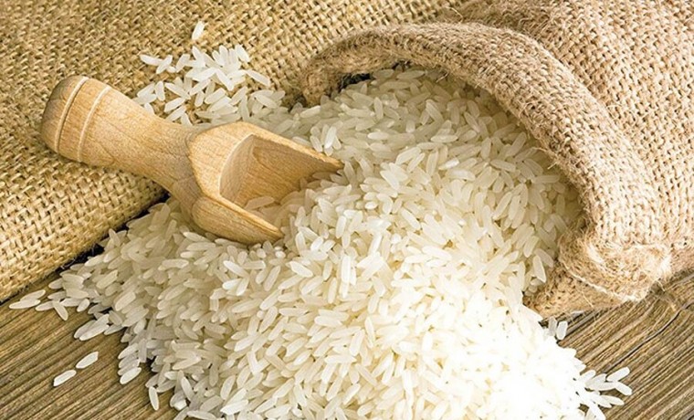 До конца 2020 года в Чеченской Республике планируется запустить массовое производство риса