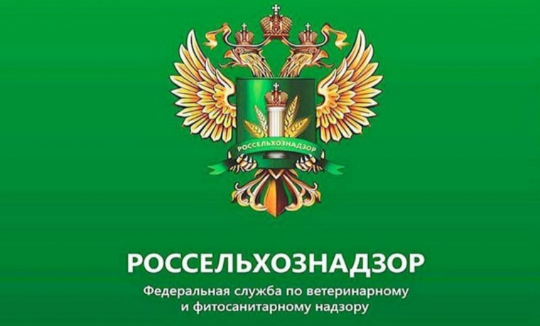 Россельхознадзор проверил соблюдение законодательства в чеченской агрофирме по содержанию лошадей