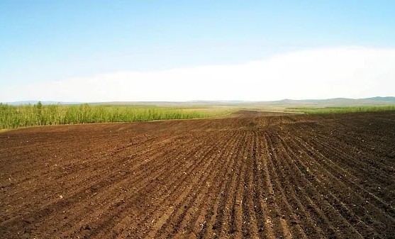 Депутат Парламента ЧР провел проверку земель сельскохозяйственного назначения