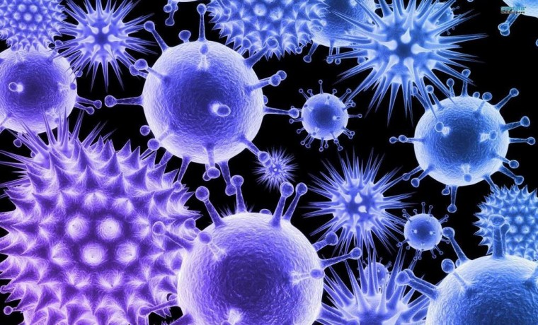 Эпидемиологическая ситуация по гриппу и острым респираторным вирусным инфекциям в ЧР