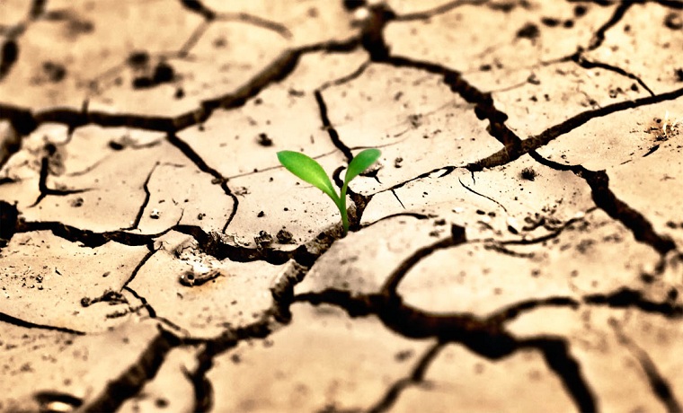 17 июня - Всемирный день борьбы с опустыниванием и засухой 