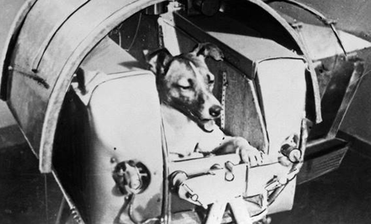 В СССР совершен запуск космического аппарата «Спутник-2» с собакой Лайкой на борту