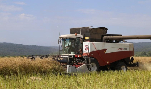 Аграрии Чеченской Республики планируют перевыполнить план по сбору зерновых