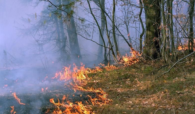 В СКФО объявлен пожароопасный сезон