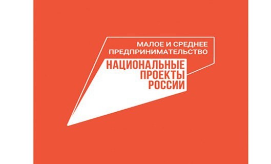 Свыше 215 млрд рублей привлекли МСП под поручительства региональных гарантийных организаций
