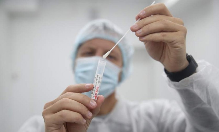 В РФ выявлено более 23,7 тыс. новых случаев коронавируса