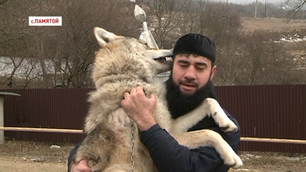 В доме у Хасана Берсанова уже 7 месяц живет хищник - Общество