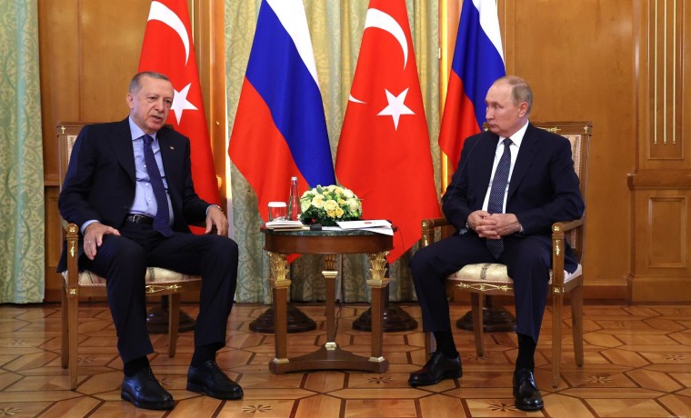 Путин: "Турецкий поток" является важнейшей газовой артерией в ЕС